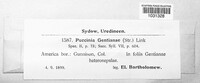 Image Associated With the Occurence
